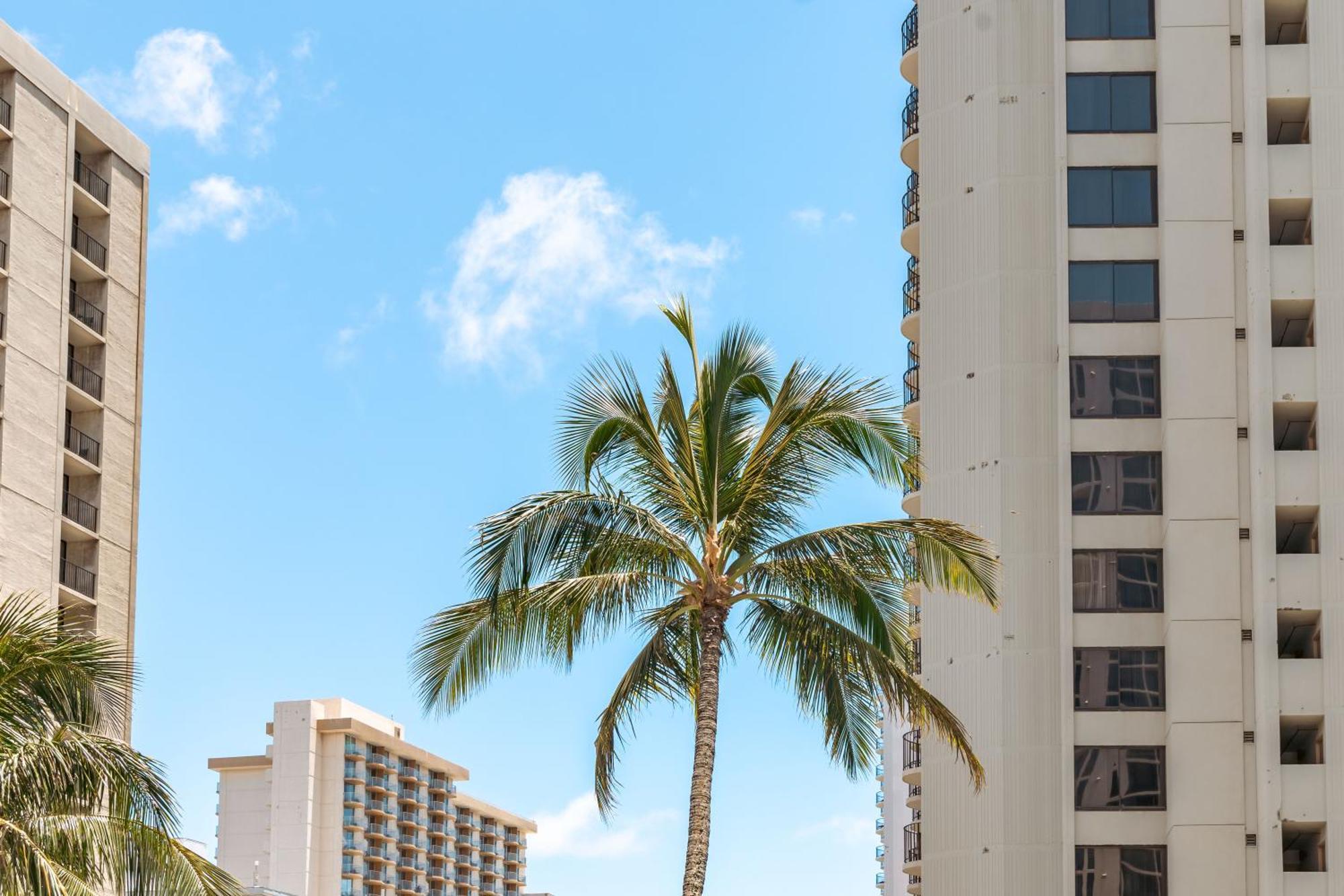 Apartamento Upscale Penthouse With Ocean Views - Free Parking Honolulu Exterior foto